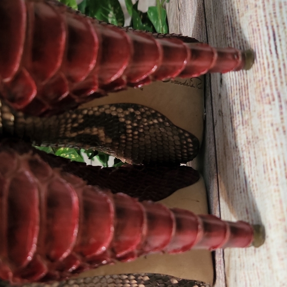 Oscar Del a Renta Snake Skin Heels - Picture 10 of 12